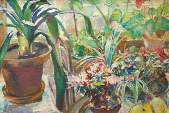1960 Stilleben mit Clivien, Primeln, Alpenveilchen und Äpfeln 48x69